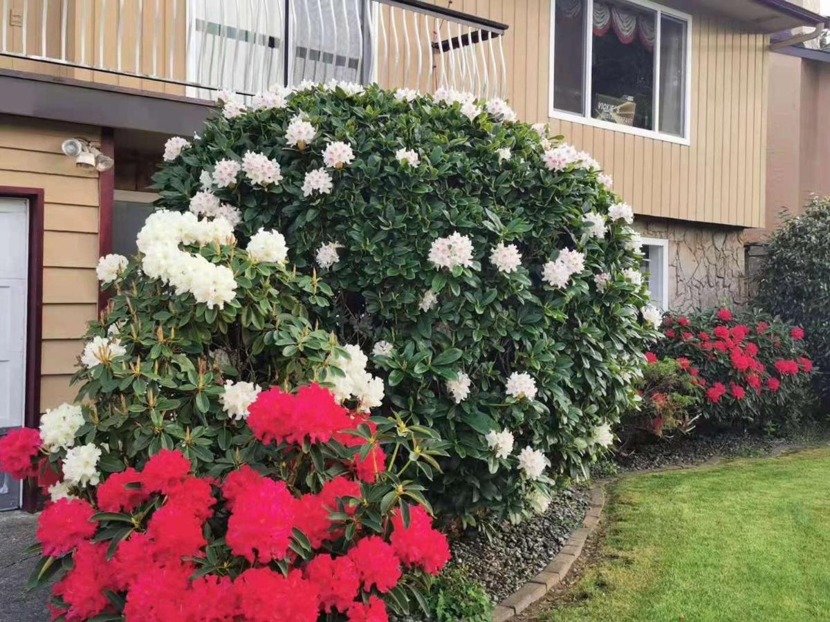 Richmond Vancouver Airport Comfy Home Extérieur photo